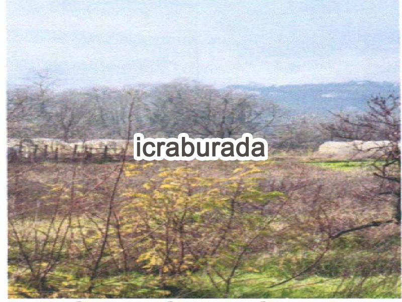 icralık  m2 Tarla Zonguldak Gökçebey Üçburgu