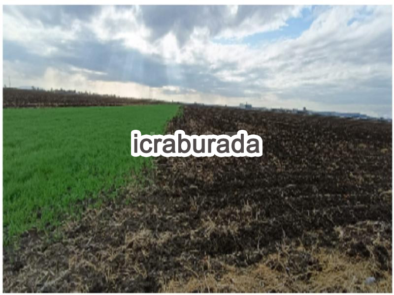 icralık  m2 Tarla Adana İmamoğlu Saygeçit