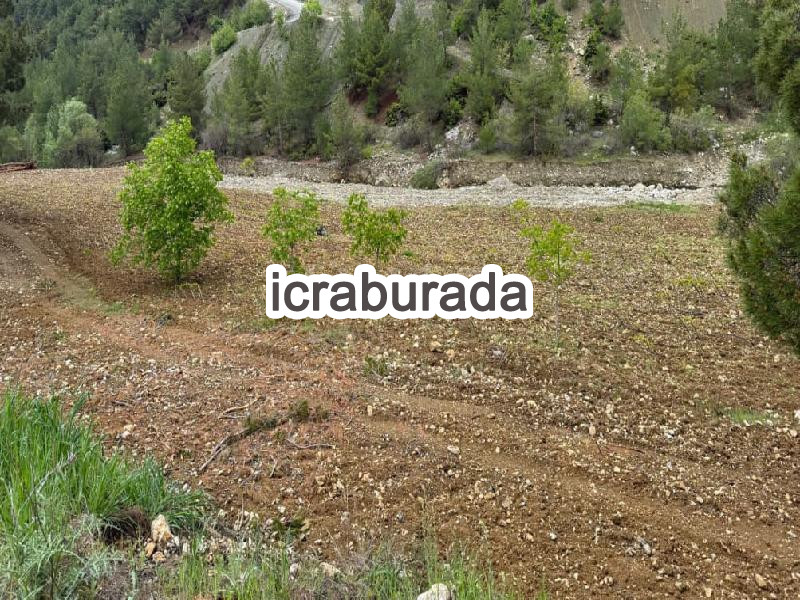 icralık  m2 Bag Kahramanmaraş Dulkadiroğlu Boyali