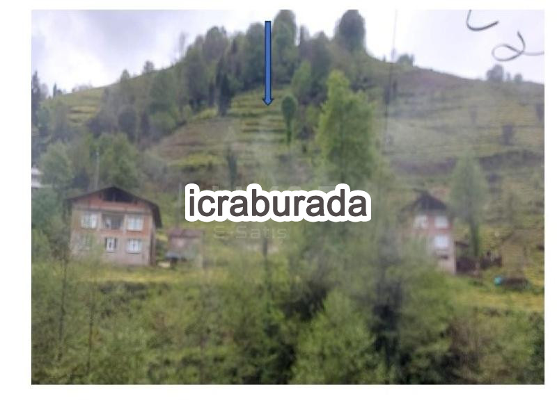 icralık  m2 Diger Rize Güneysu İslahiye