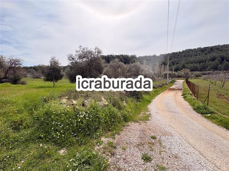icralık  m2 Tarla Muğla Menteşe Kuyucak