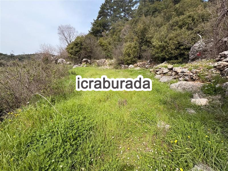 icralık  m2 Tarla Muğla Menteşe Kuyucak