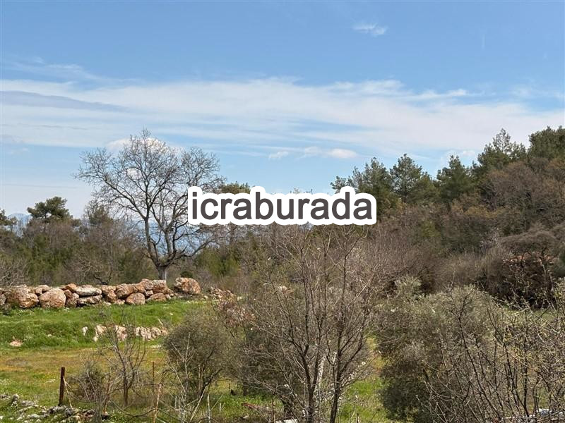 icralık  m2 Tarla Muğla Menteşe Kuyucak