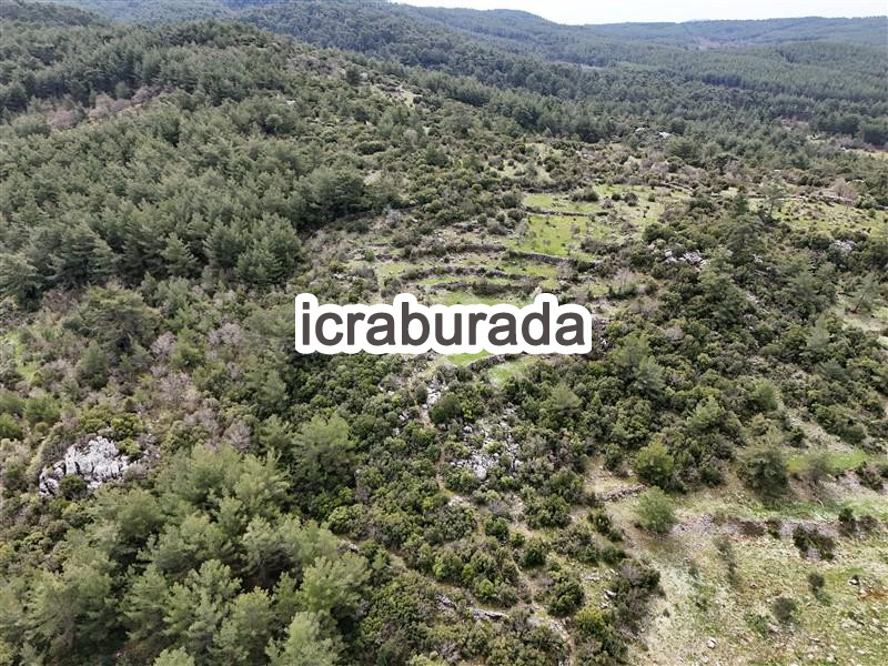 icralık  m2 Tarla Muğla Menteşe Kuyucak
