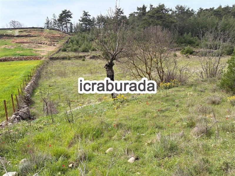 icralık  m2 Tarla Muğla Menteşe Kuyucak