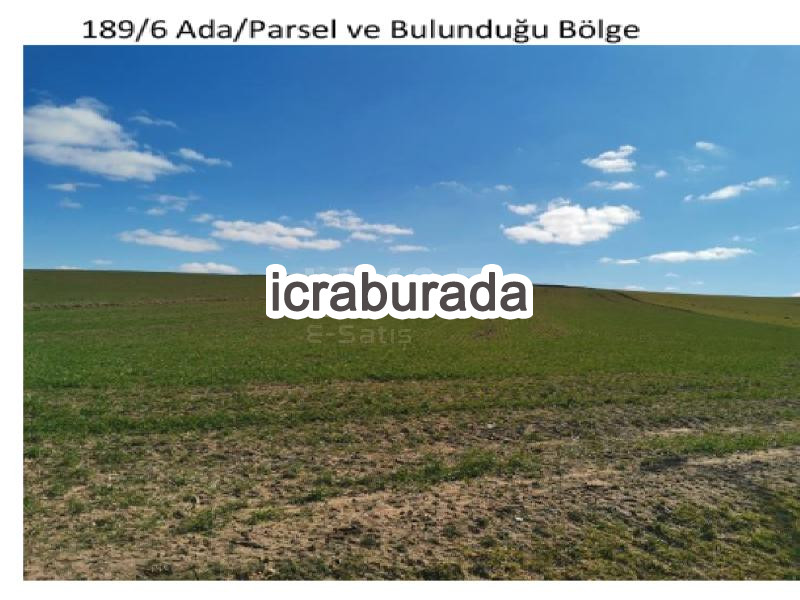 icralık  m2 Tarla Yozgat Şefaatli Çaydoğan