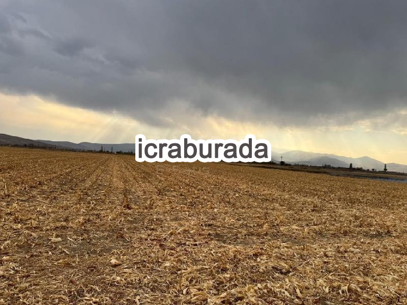 icralık  m2 Tarla Kayseri Develi Gaziköy