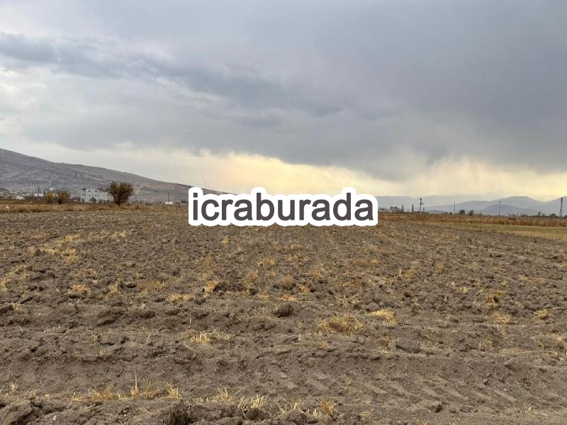 icralık  m2 Tarla Kayseri Develi Gaziköy