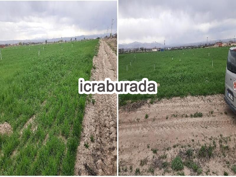 icralık  m2 Tarla Niğde Bor Kemerhisar/cumhuriyet