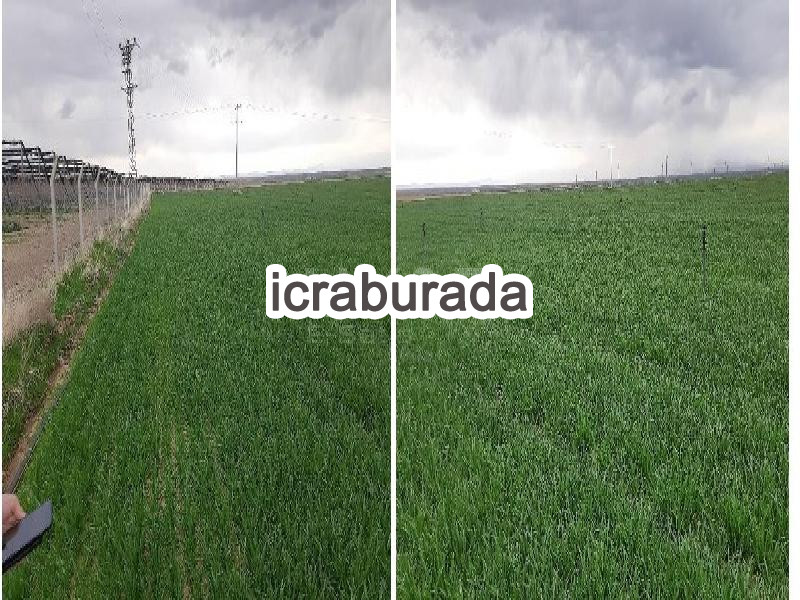 icralık  m2 Tarla Niğde Bor Kemerhisar/tepe