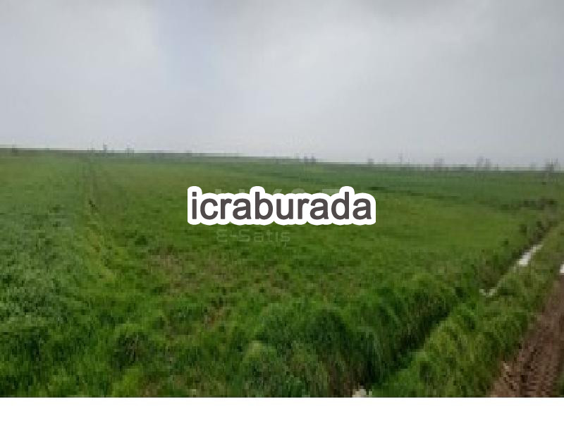 icralık  m2 Tarla Çanakkale Biga Örtülüce