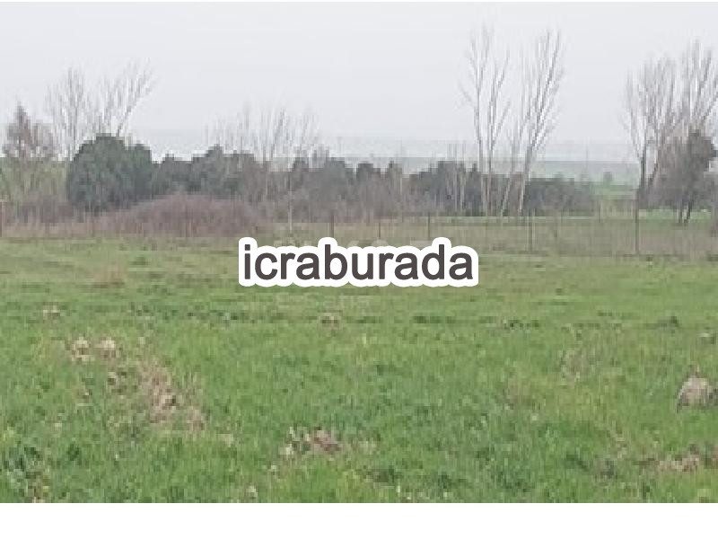 icralık  m2 Tarla Çanakkale Biga Örtülüce