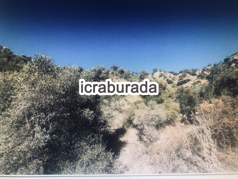 icralık  m2 Tarla Aydın Sultanhisar Atça