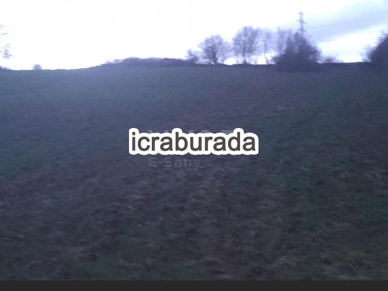 icralık  m2 Tarla Belirtilmedi Belirtilmedi Belirtilmedi