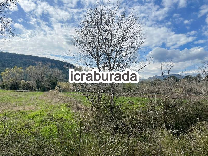 icralık  m2 Tarla Antalya Aksu Karaöz