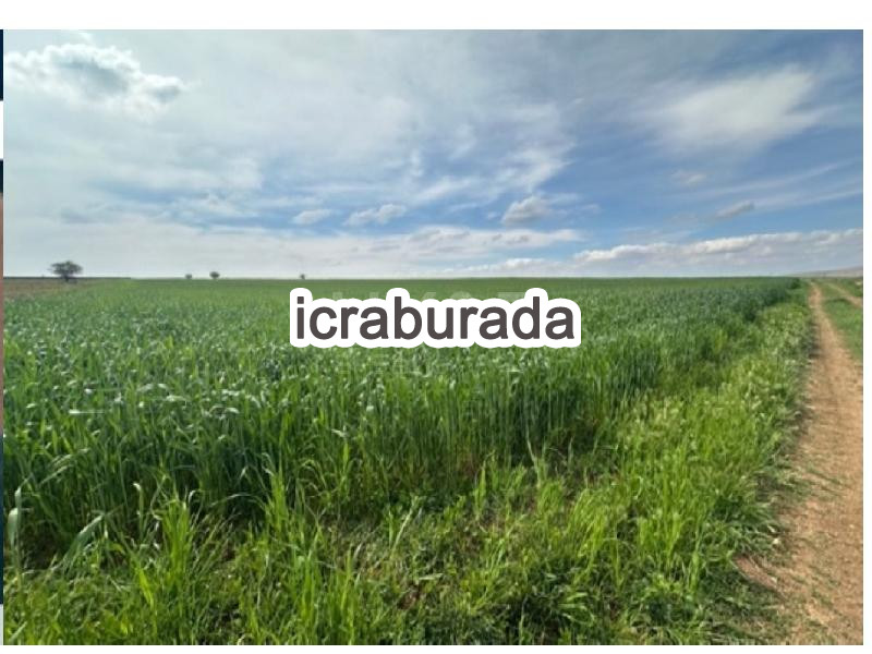 icralık  m2 Tarla Konya Kadınhanı Karakaya