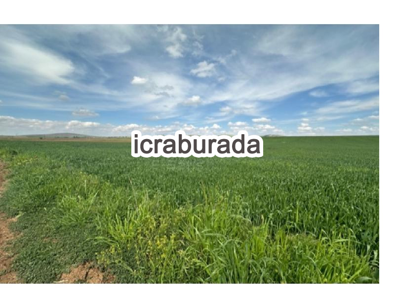 icralık  m2 Tarla Konya Kadınhanı Karakaya