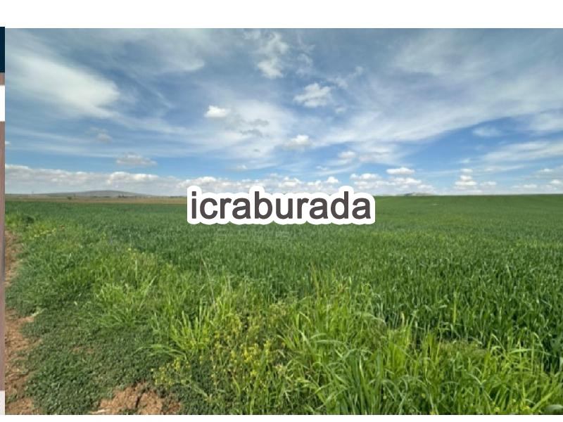 icralık  m2 Tarla Konya Kadınhanı Karakaya
