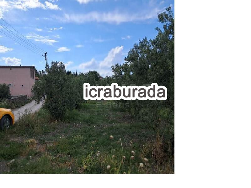 icralık  m2 Tarla Manisa Saruhanlı Tirkeş