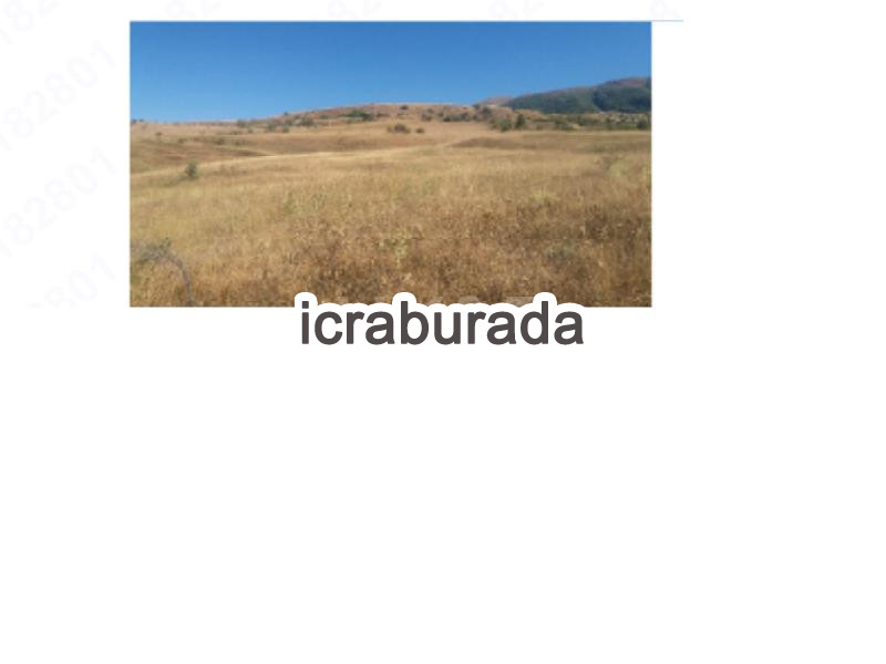 icralık  m2 Tarla Sivas Koyulhisar Çiçeközü