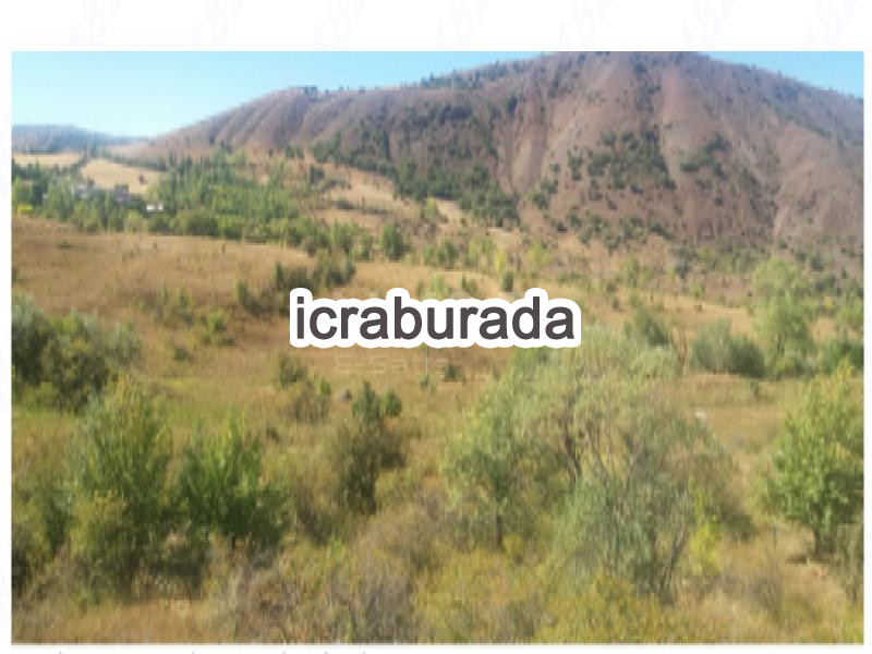 icralık  m2 Tarla Sivas Koyulhisar Çiçeközü