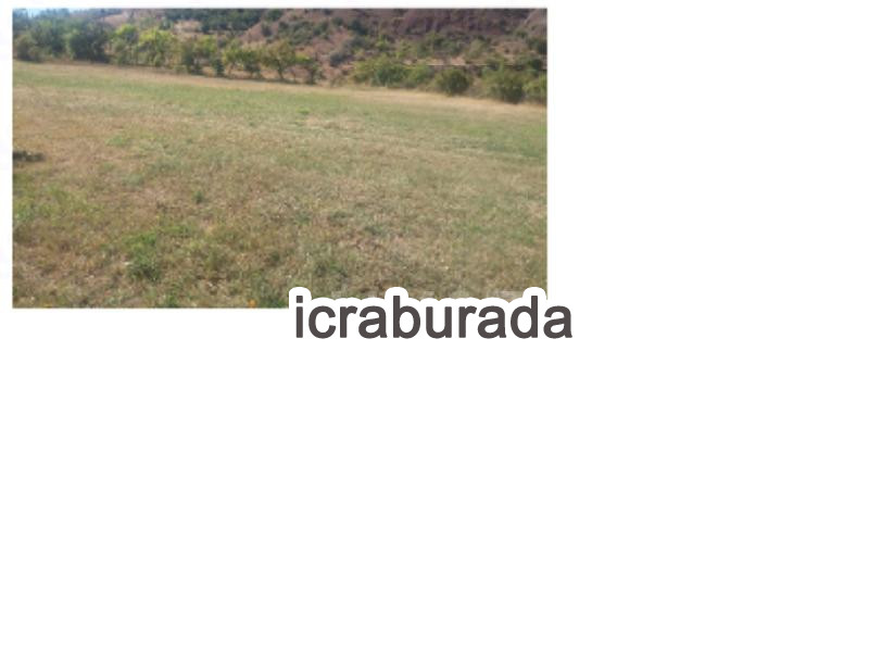 icralık  m2 Tarla Sivas Koyulhisar Çiçeközü