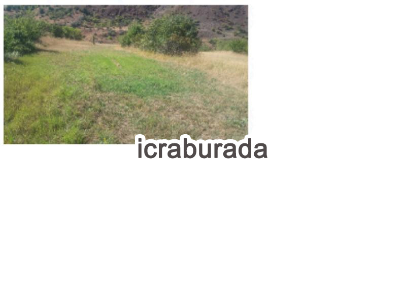 icralık  m2 Tarla Sivas Koyulhisar Çiçeközü