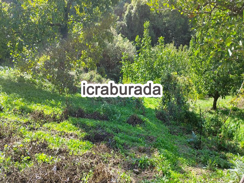 icralık  m2 Tarla Bursa Gemlik Güvenli