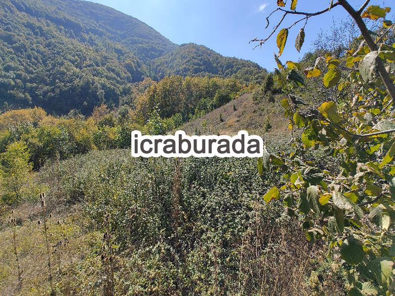 icralık  m2 Tarla Bursa Gemlik Güvenli