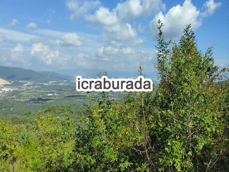 icralık  m2 Tarla Bursa Gemlik Güvenli