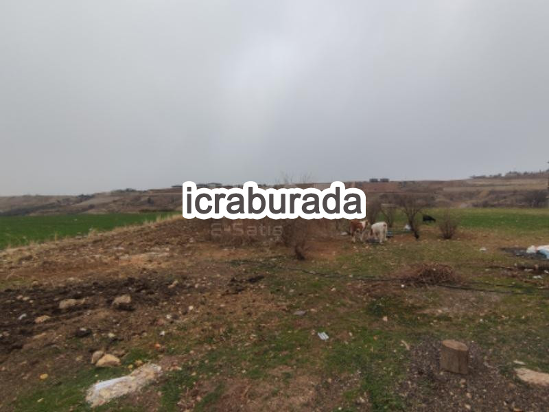 icralık  m2 Tarla Adıyaman Merkez Karapinar