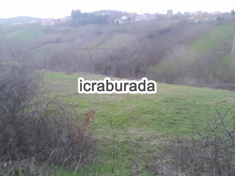 icralık  m2 Tarla Belirtilmedi Belirtilmedi Belirtilmedi