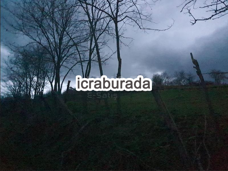 icralık  m2 Tarla Belirtilmedi Belirtilmedi Belirtilmedi