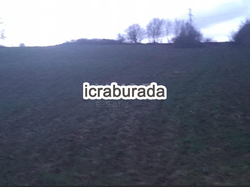 icralık  m2 Tarla Belirtilmedi Belirtilmedi Belirtilmedi