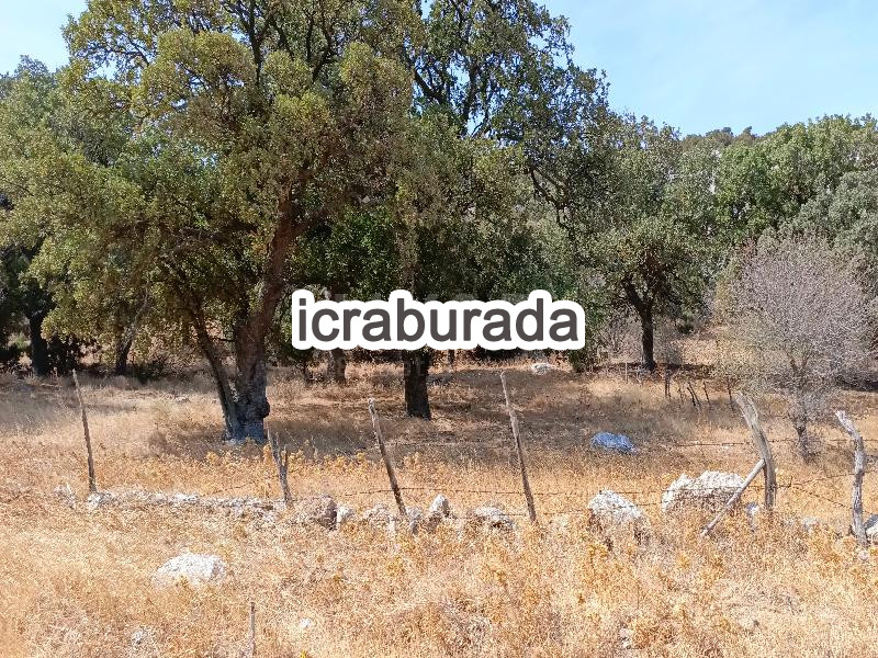 icralık  m2 Tarla Çanakkale Bayramiç Çaldağ