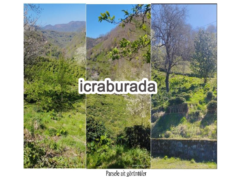icralık  m2 Diger Artvin Arhavi Üçirmak