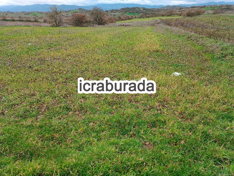 icralık  m2 Tarla Balıkesir Sındırgı Süller