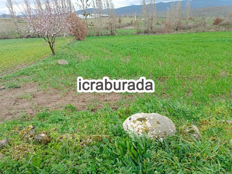 icralık  m2 Tarla Balıkesir Sındırgı Süller