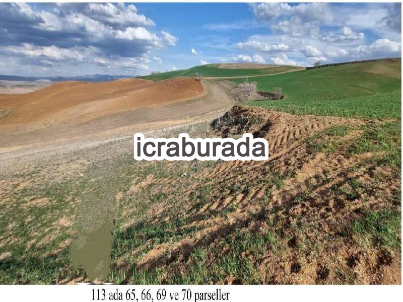 icralık  m2 Tarla Kırıkkale Delice Çongar