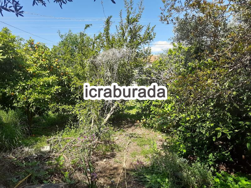 icralık  m2 Kargir Muğla Milas Pinarcik