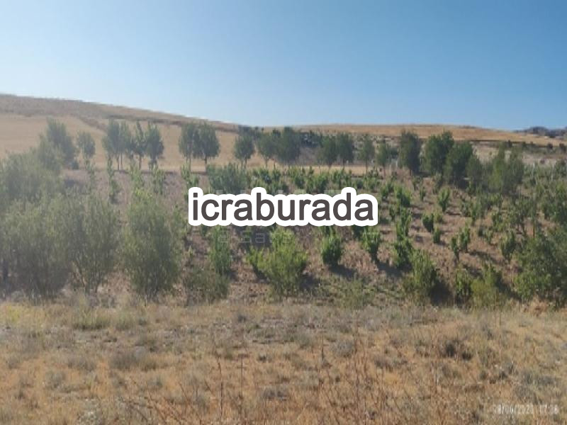 icralık  m2 Bag Nevşehir Gülşehir Eskiyaylacik