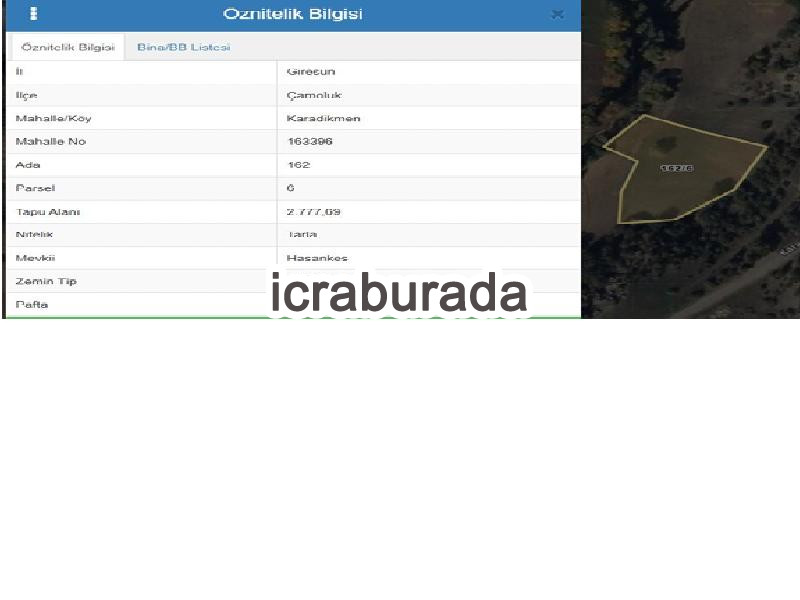 icralık  m2 Tarla Giresun Çamoluk Karadikmen