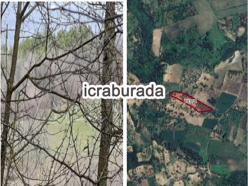 icralık  m2 Diger Bursa İnegöl Saripinar
