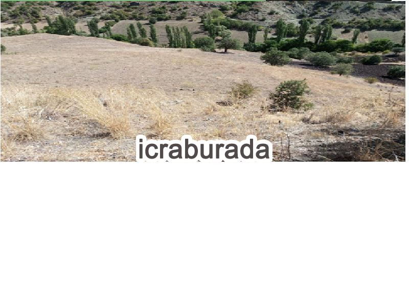icralık  m2 Tarla Giresun Çamoluk Karadikmen