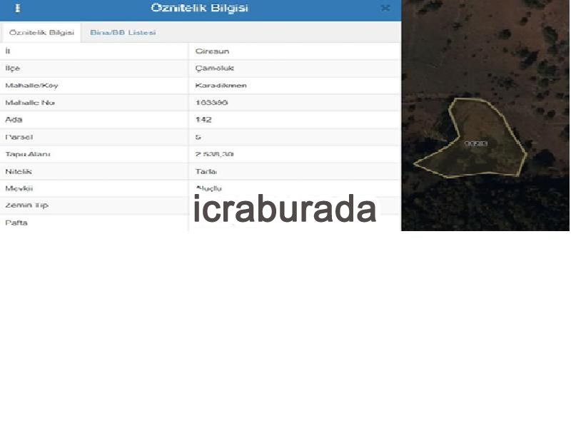 icralık  m2 Tarla Giresun Çamoluk Karadikmen
