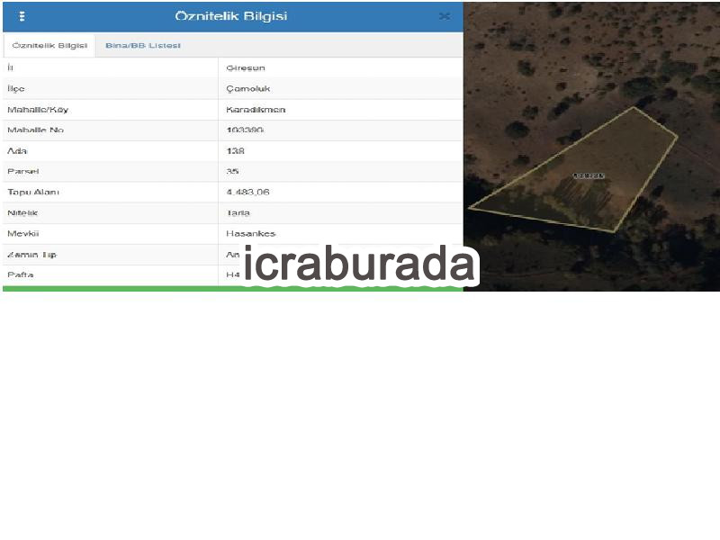 icralık  m2 Tarla Giresun Çamoluk Karadikmen