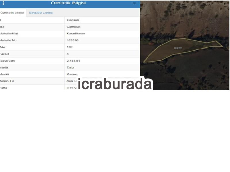 icralık  m2 Tarla Giresun Çamoluk Karadikmen