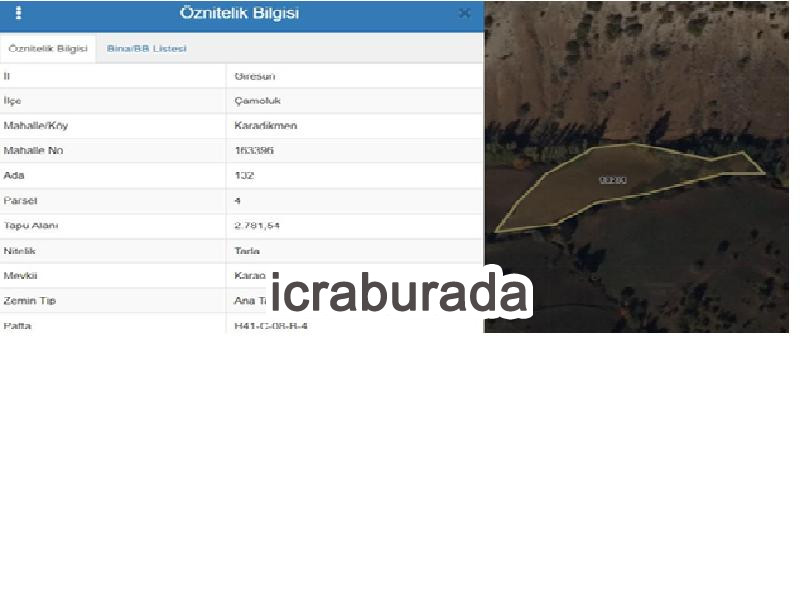 icralık  m2 Tarla Giresun Çamoluk Karadikmen