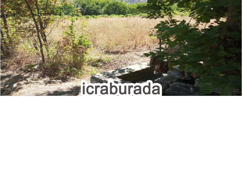 icralık  m2 Tarla Giresun Çamoluk Karadikmen