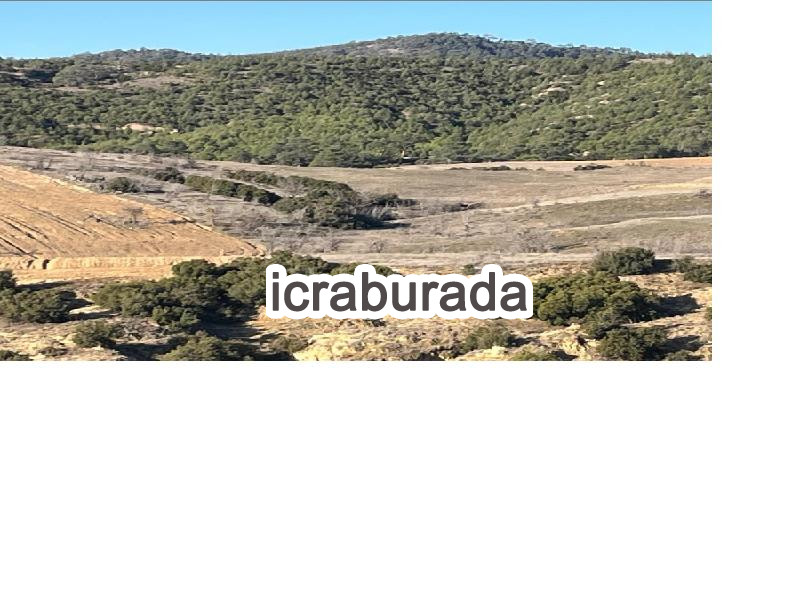 icralık  m2 Tarla Denizli Çal Baklançakirlar